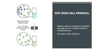 Single-Cell RNA Sequencing
