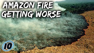 The Amazon Rain Forest Is Still Burning And Here Is What You Need To Know - Update