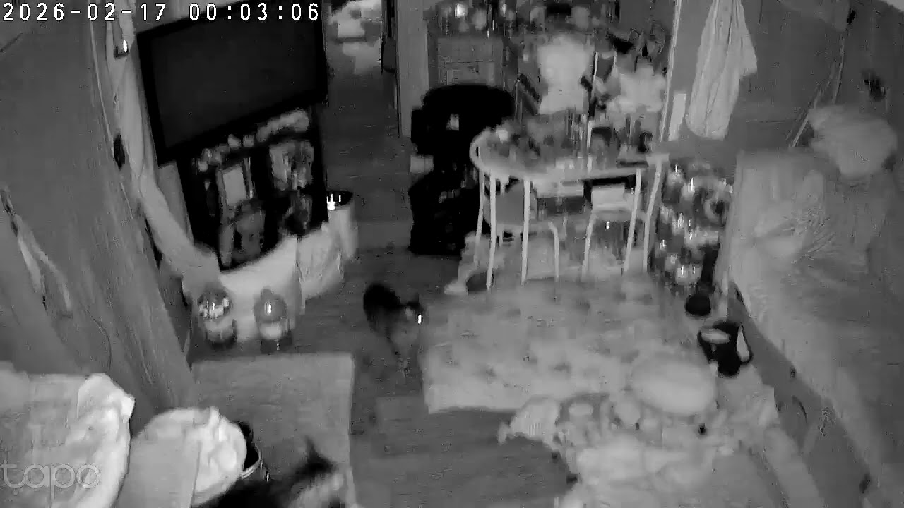 Things that go bump in the night part 1