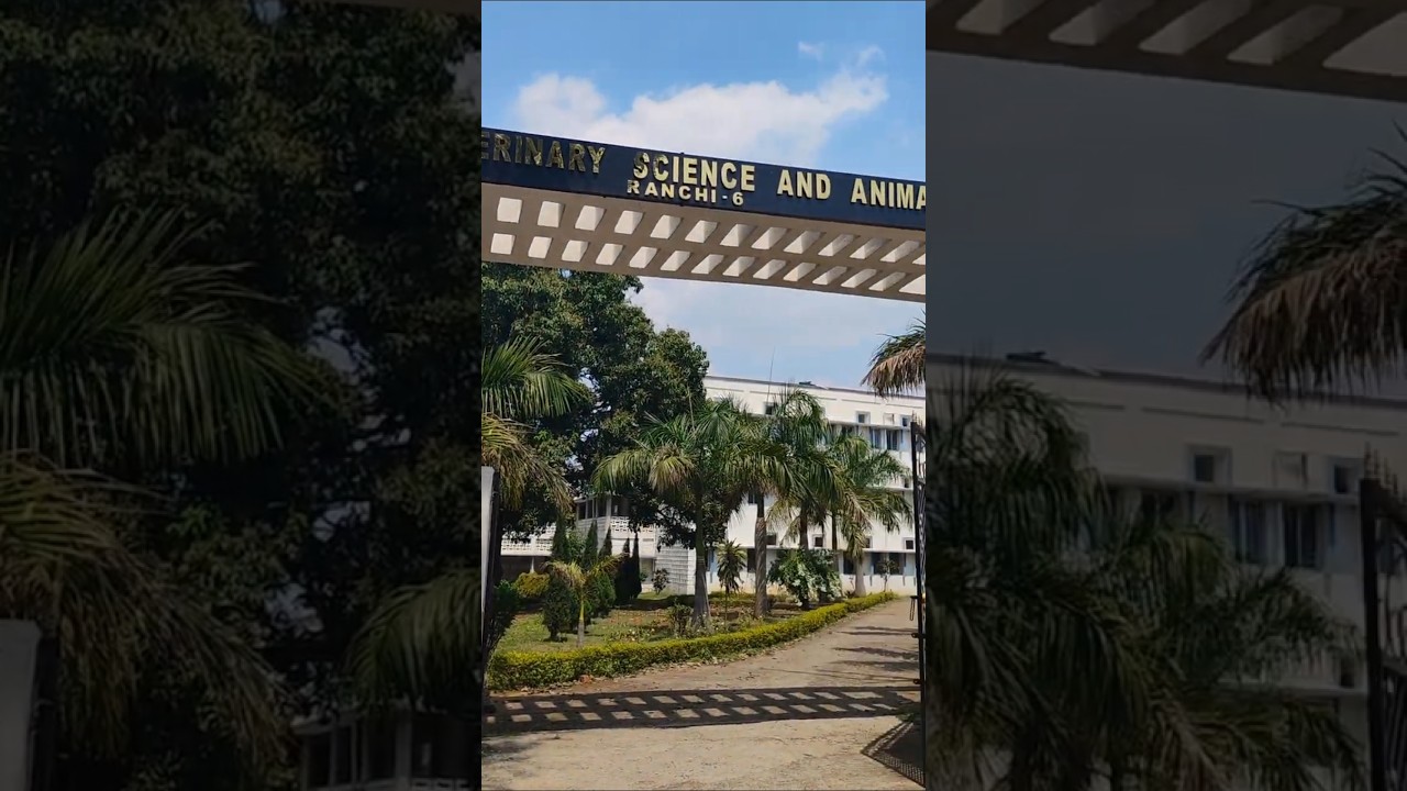 College Of 🦴Veterinary⚕️ Science & Animal🐴 Husbandry 🐏
