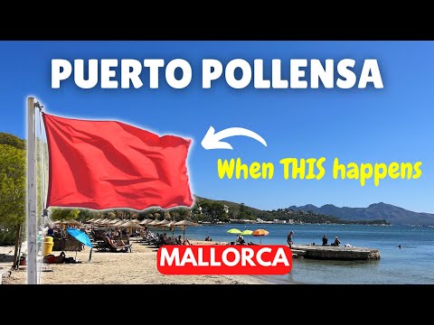 Things to do in Puerto Pollensa, Mallorca
