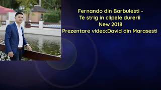 Fernando din Barbulesti  - Te strig in clipele durerii new 2018