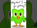 POV Duolingo when it gets angry