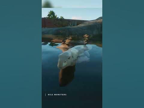 Nile Monitors - Planet zoo - YouTube