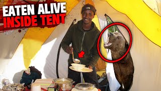 This Man Brought Food Inside His Tent & Was EATEN ALIVE By Bear! by Final Affliction 27,384 views 1 month ago 11 minutes, 25 seconds