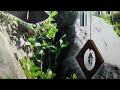 Дома и квартиры   (ФЭН-ШУЙ)