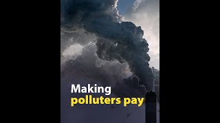 The polluter pays! Updated Emissions Trading System