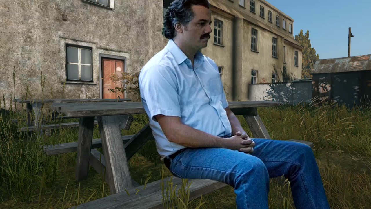 THE CHINESE DAYZ EXPERIENCE