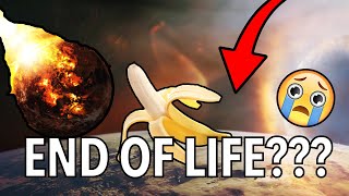 How one BANANA could DESTROY all life on Earth