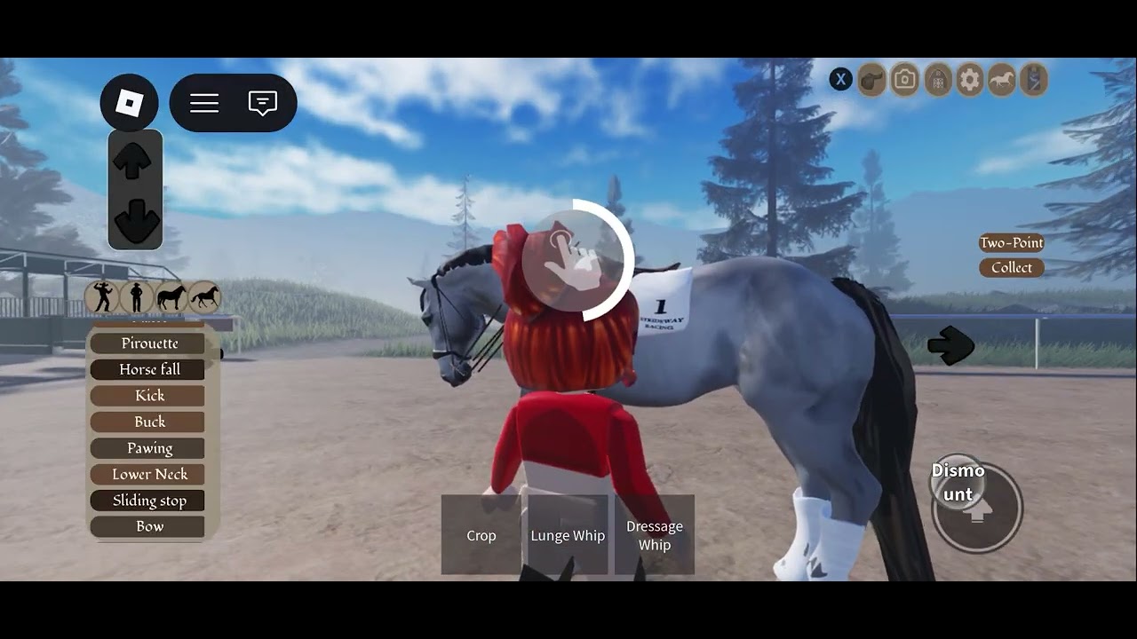 I rodemy all-around horse I did racing dressage and jumping I’m going to have a show 