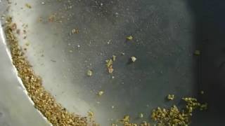 DSCF1394
