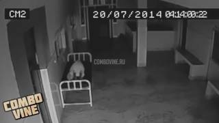 Combo Vine #42