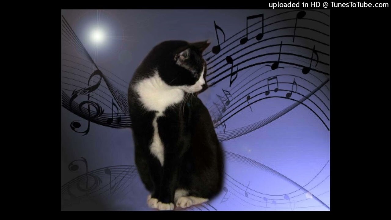 Kashpaint/Brxceface/Hellarixh/Jakush type beat