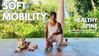 Soft Mobility for the Spine | Release Tension + Create Space