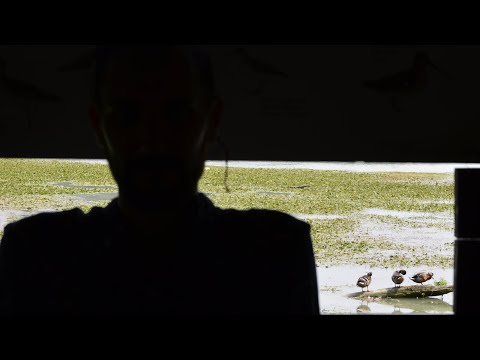 UnFauno intervista alla Riserva regionale Lago di Nazzano - Parco fluviale del Tevere - parte 2