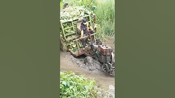 #shorts xe công nông một cầu chở chuối quá tải thật sự quá nguy hiểm và cái kết #shortvideo
