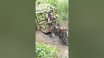 #shorts xe công nông một cầu chở chuối quá tải thật sự quá nguy hiểm và cái kết #shortvideo