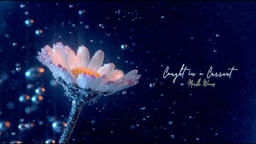 Marble Waves - Caught in a Current (Official Video)