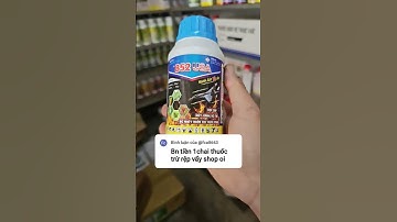 thuốc trị rệp vảy rệp Kim #thuocbaovethucvat #hoàngdương