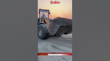 299 | A big wheel loader is loading stone dust into a 10-wheel tipper. #loader