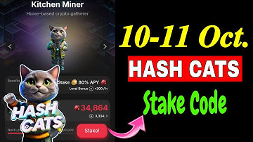 Hash Cats Stake Code Today | 10-11 October HashCats Stake Code | Hash Cats Stake Password Today