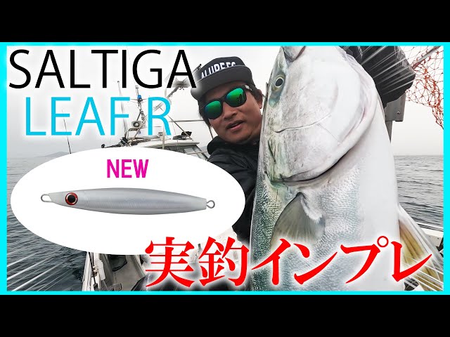 ダイワ新製品ソルティガリーフRはどうなの！？【丹後ジギング】 - YouTube