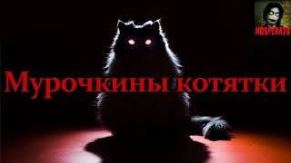 Истории на ночь - Мурочкины котятки