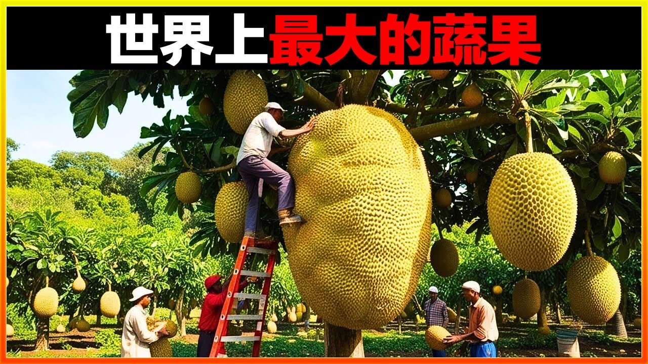 重達2萬斤壓壞卡車，整個村子半年都吃不完！13種世界上最大的蔬果，不親眼看到不敢相信。