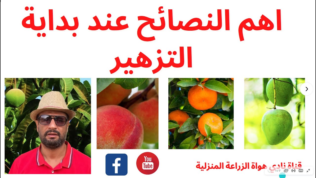 اهم النصائح عند بداية التزهير