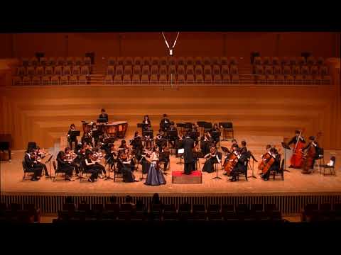 Tchaikovsky : Violin Concerto in D major Op.35 , 1st Movement