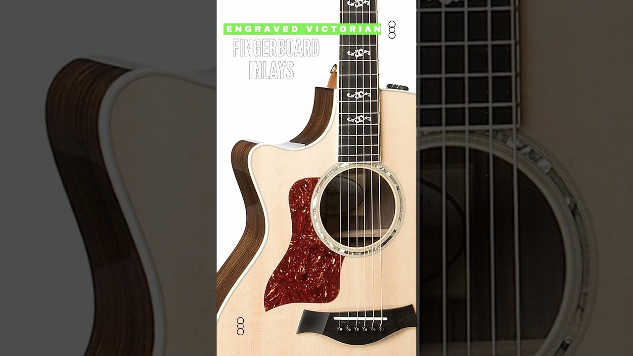 This is what the Taylor 414CE V-Class sounds like. - Guitars are Being Strummed 