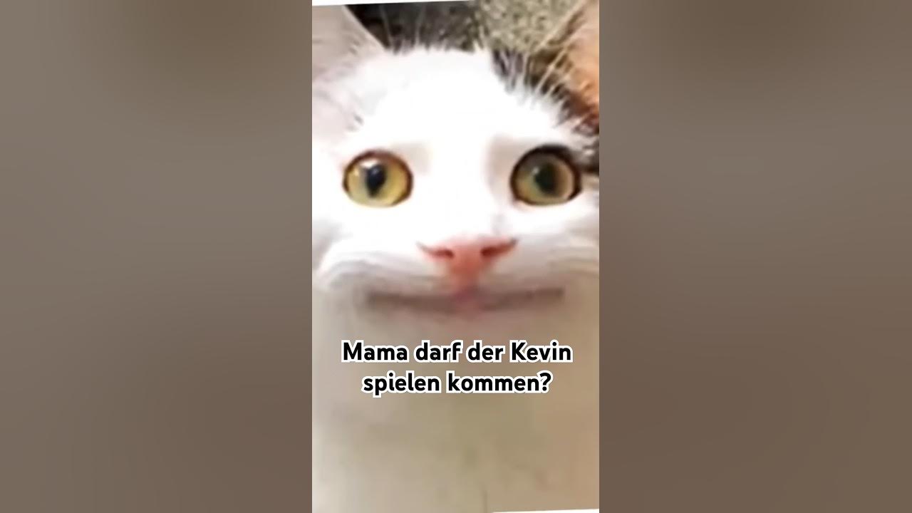 Darf Der Kevin Bei Mir Spielen Kommen www.youtube.com