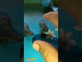 #viral #trending #barbieitems #reelyoutube #reelsyoutubevideo