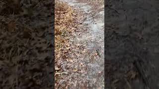 TRAIL IS UNDER WATER