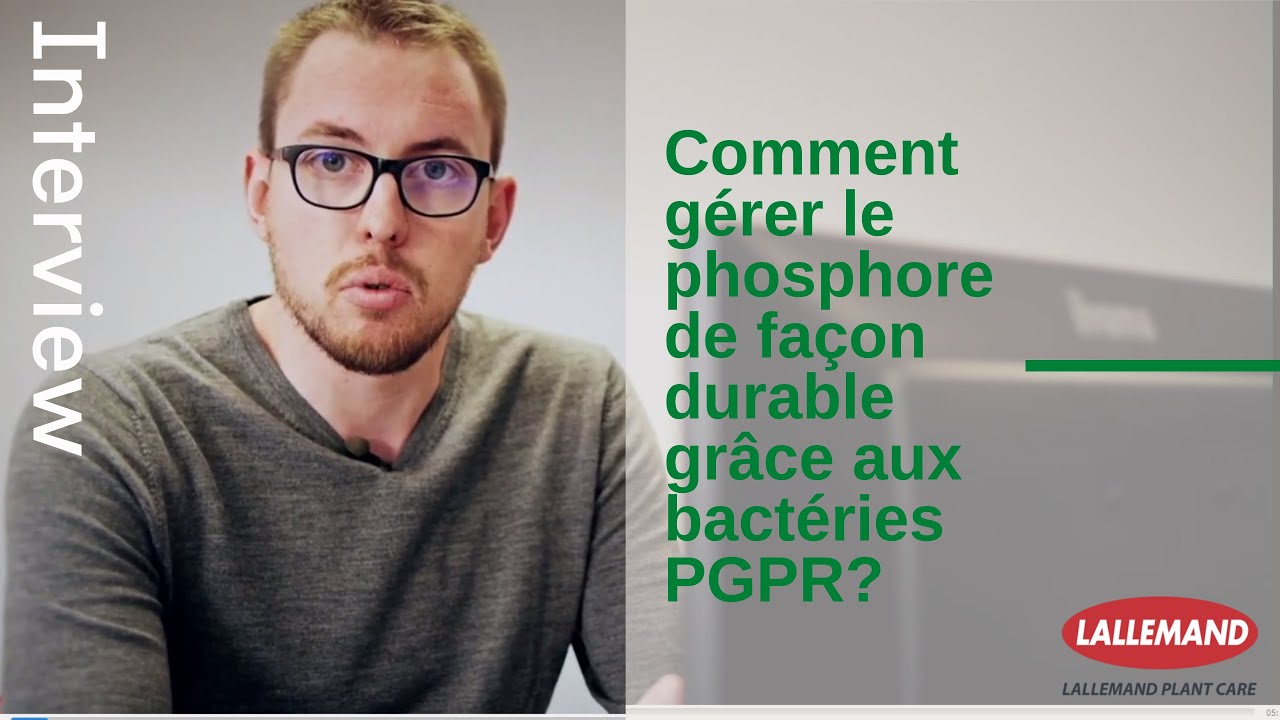 Comment gérer le phosphore de façon durable grâce aux bactéries PGPR ?