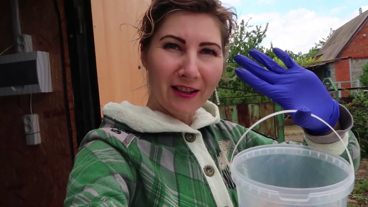 Дача, Доширак, Очередь в Леруа на карантине. - YouTube