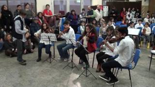 - Orquesta Balvanera Mexico- Violines