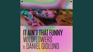 It Ain't That Funny Wealth