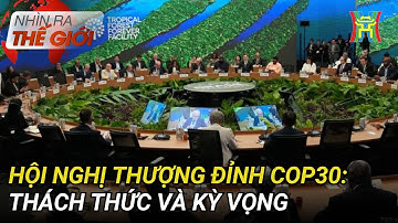 Hội nghị Thượng đỉnh COP30: Thách thức và kỳ vọng | Nhìn ra thế giới