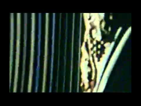 Tonton Ты и Мы. Фильм о МГХУ им А.В. Свешникова (1987) di YouTube