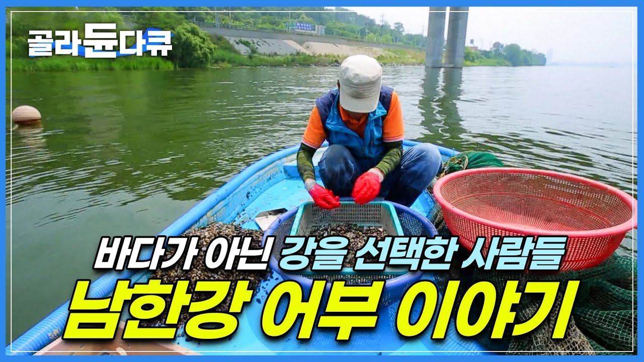 ‘새벽에는 민물장어, 오후에는 다슬기’ 온종일 강을 떠나지 못하는 남한강 어부들 | 40년 넘도록 남한강에서 고기를 잡아온 어부들의 이야기 | 쏘가리 | 한국기행 | #골라듄다큐