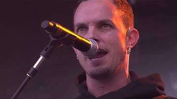 Alter Bridge - Pinkpop 2011 (HD)