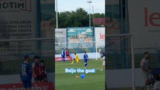 Beljo the goat! Gol za 3:1 💙 #dinamozagreb #beljo #gnkdinamo #zagreb #slavenbelupo #koprivnica