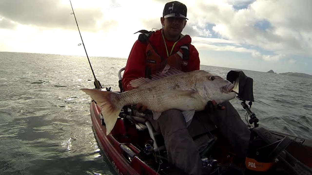 More MASSIVE Snapper!!! - YouTube