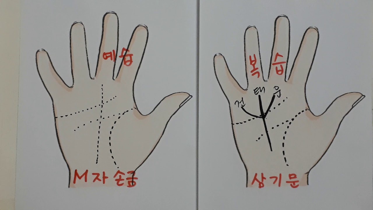 (손금) 제64강 억만장자손금