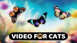 CAT GAMES  Garden Butterflies. Videos for Cats to Watch | CAT TV | 1 Hour.