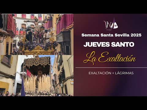 Pontificia, Real e Ilustre Hermandad Sacramental Purísima Concepción Ánimas Benditas del Purgatorio, San Sebastián Mártir y Archicofradía de Nazarenos del Santísimo Cristo de la Exaltación y Nuestra Señora de las Lágrimas