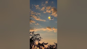 أواخر سورة البقرة ❤ أرح سمعك 🎧🥰