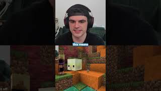 This new Minecraft mob can absorb blocks