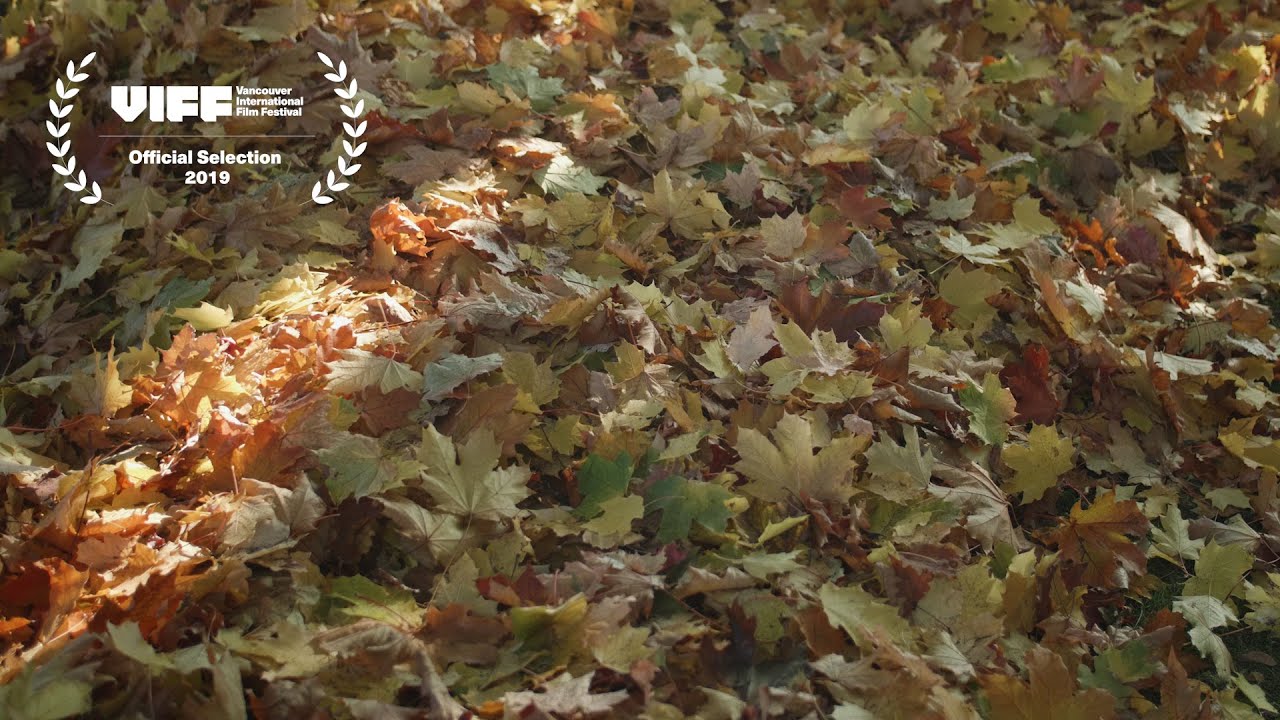 My Heart is Walking Around Outside of My Body (2019)